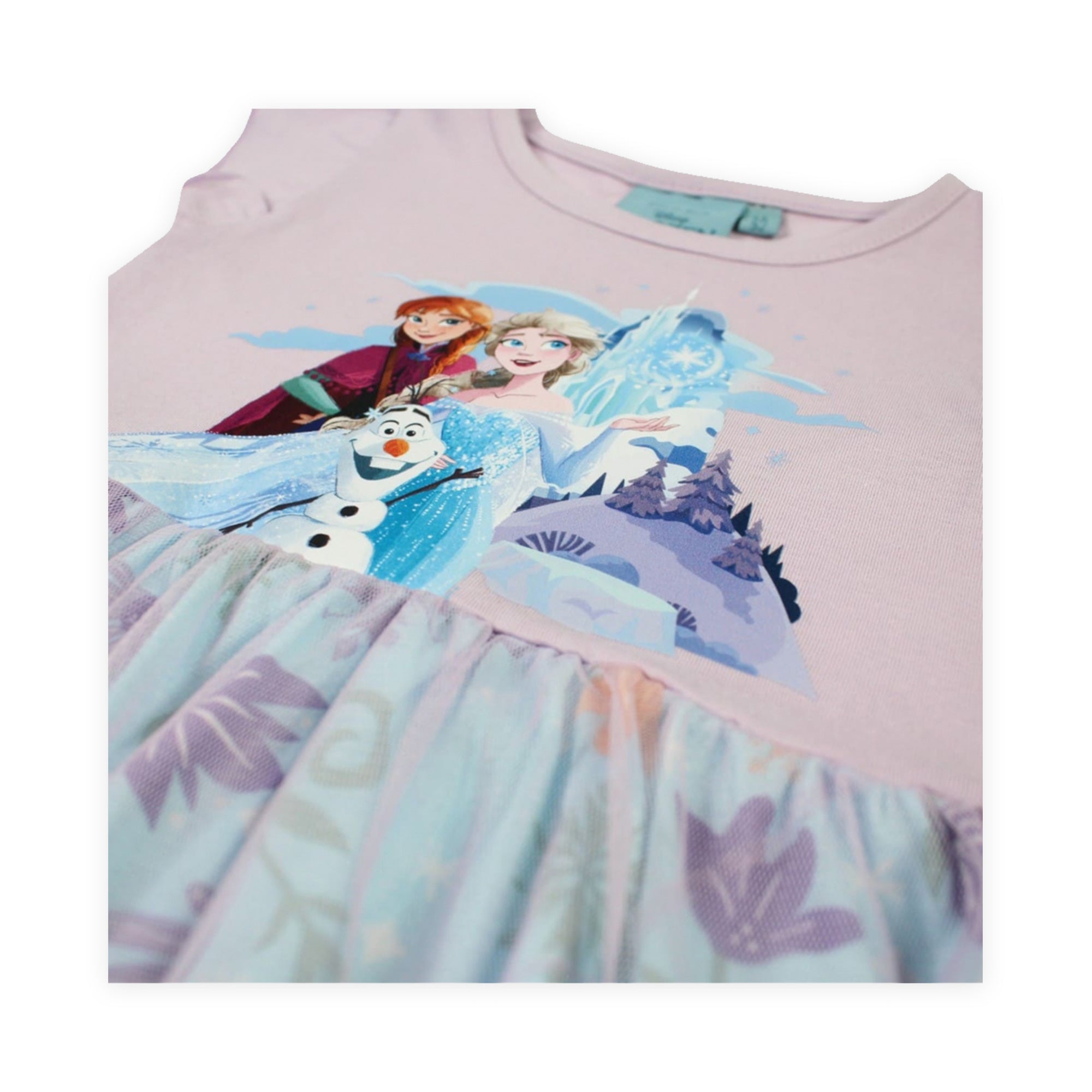 Frozen Snow Bloom Tulle Dress