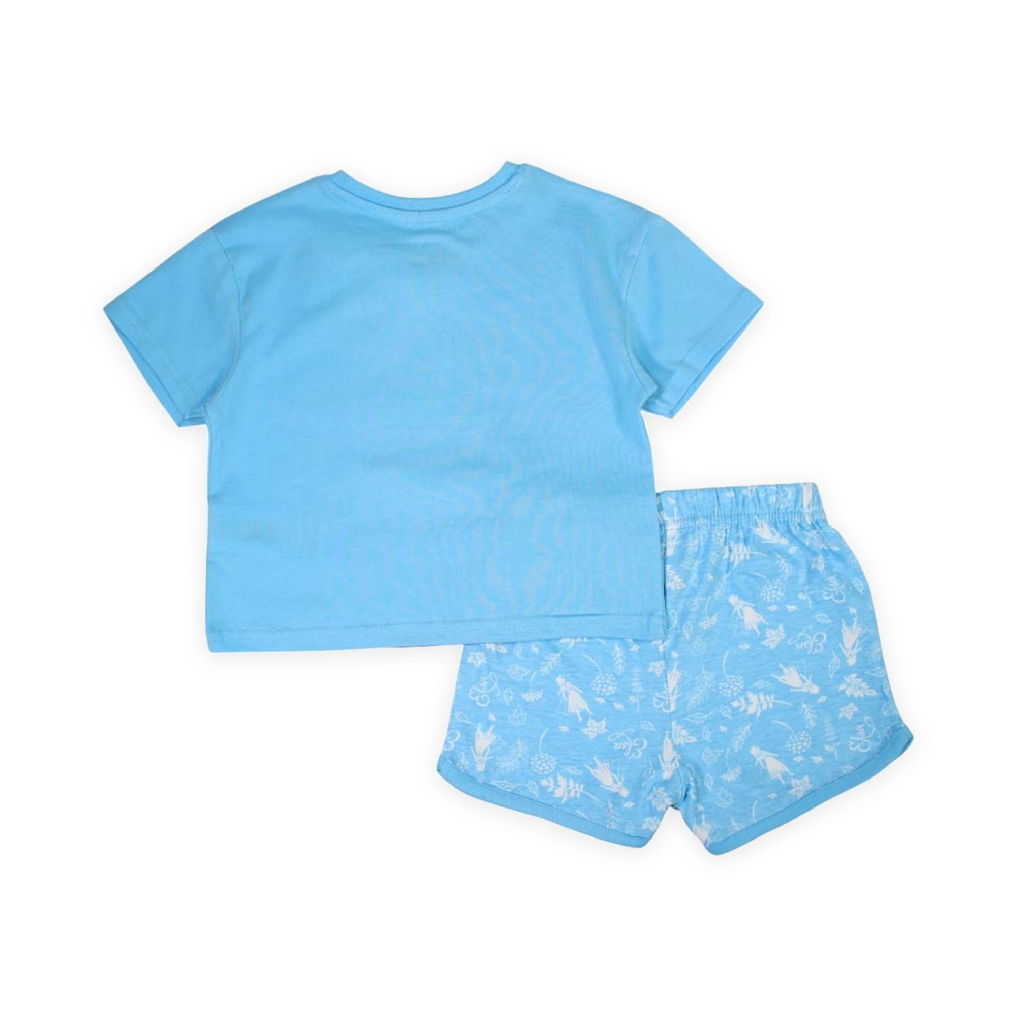 Frozen Enchanted Summer Set