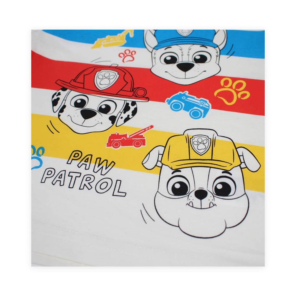 Paw Patrol Colour Crew Summer Set