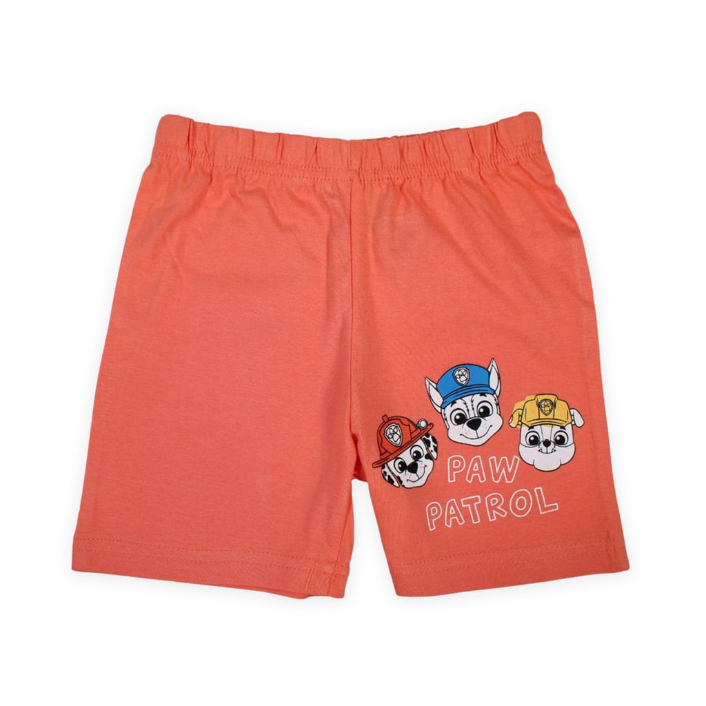 Paw Patrol Colour Crew Summer Set