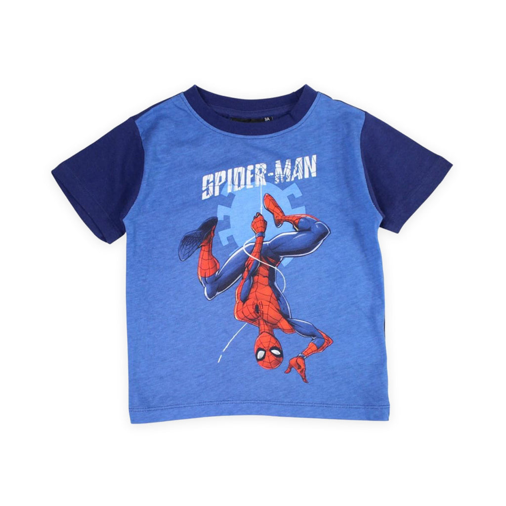 Spiderman Swing Motion Summer Set