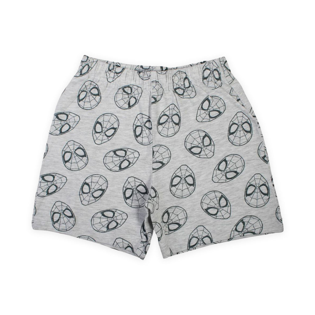 Spiderman Street Hero Summer Set